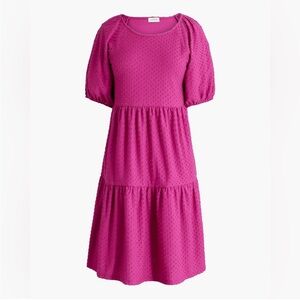 Dark Pink J.CREW Dress - Size Large - NWT